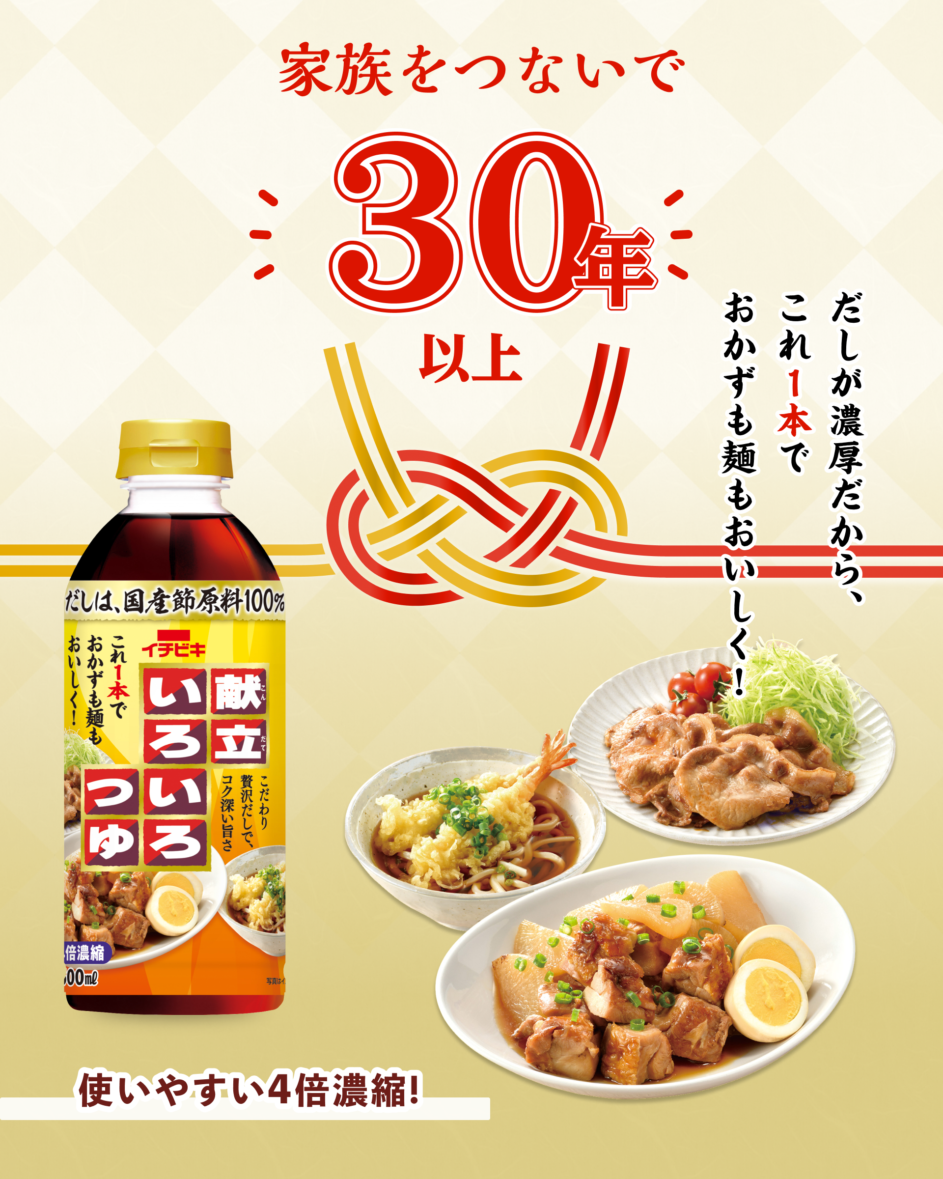 献立いろいろつゆ／家族をつないで30年 さらに美味しくリニューアル！／だしが濃厚だから、これ1本でおかずも麺も美味しく！