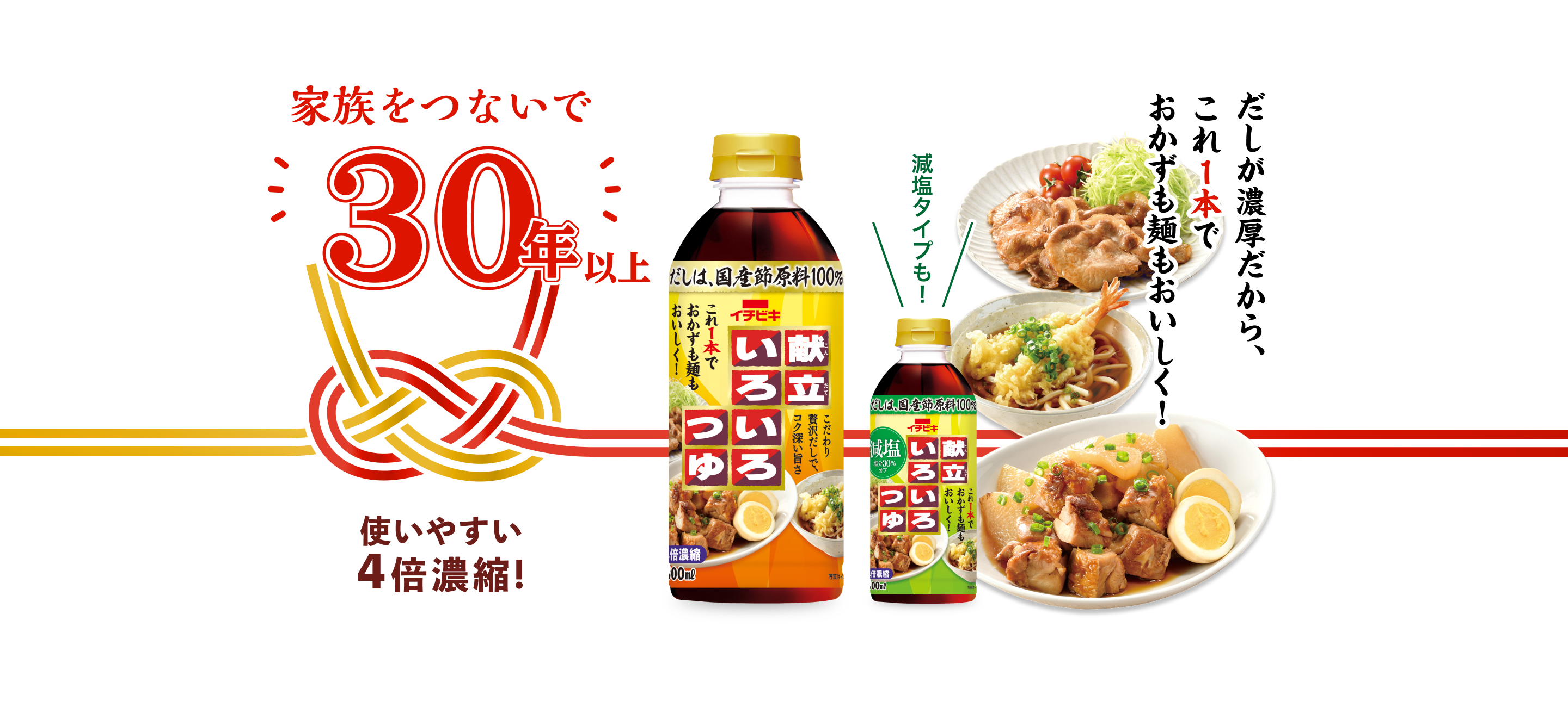 献立いろいろつゆ／家族をつないで30年 さらに美味しくリニューアル！／だしが濃厚だから、これ1本でおかずも麺も美味しく！