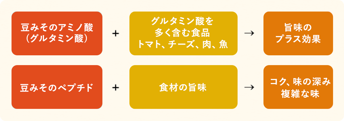 豆みそのアミノ酸（グルタミン酸）+グルタミン酸を多く含む食品（トマト、チーズ、肉、魚）→旨味のプラス効果 | 豆みそのペプチド+食材の旨味→コク、味の深み、複雑な味